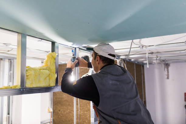 Best Local Insulation Services  in Garden City Park, NY