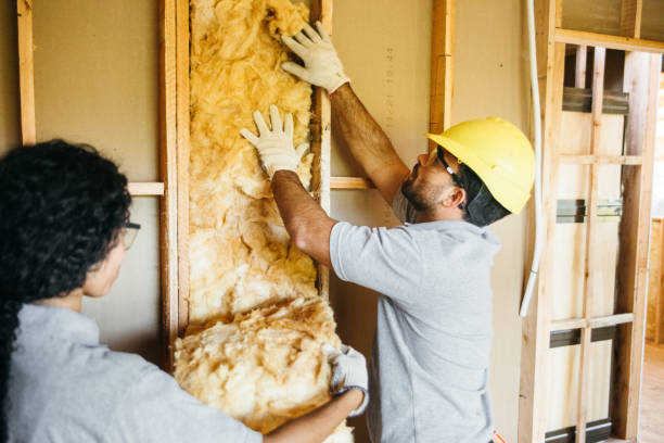 Best Insulation Repair Services  in Garden City Park, NY